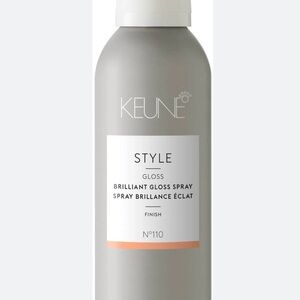 Style Brilliant Gloss Spray – Gray Finish